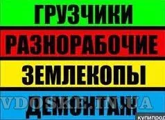 Уборка расчистка участка , территории , вывоз мусора, демонтаж , разно