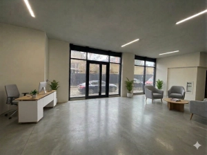 Image 12